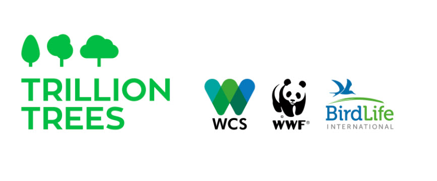 Trillion Trees organizations