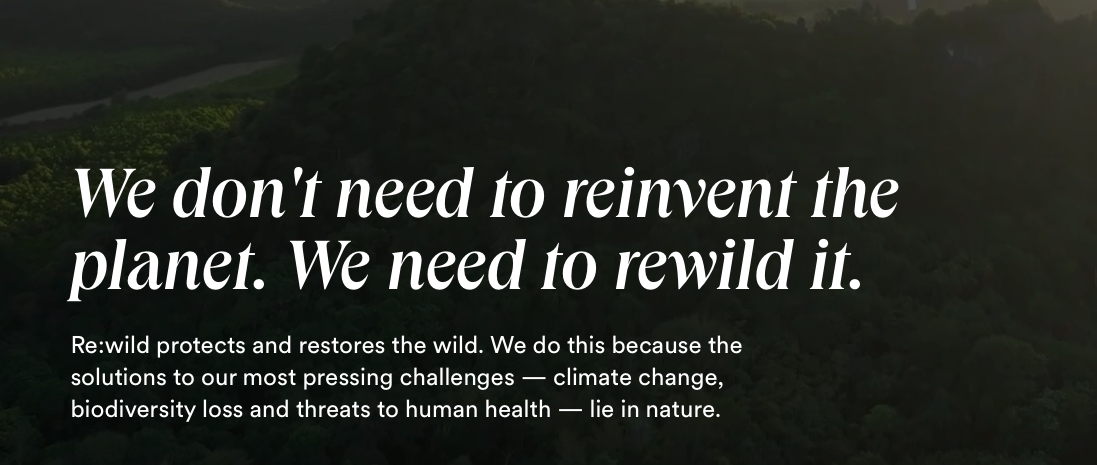 Aerial view of dense forest canopy at dusk with the text: 'We don't need to reinvent the planet. We need to rewild it.