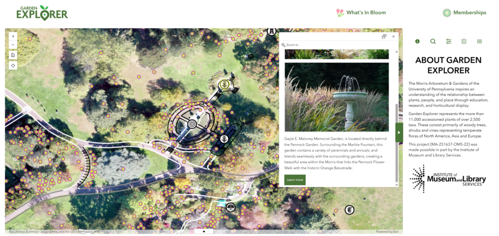 Garden Explorer application displaying the Gayle E. Maloney Memorial Garden popup with photos and description, alongside the About Garden Explorer panel highlighting the IMLS grant funding