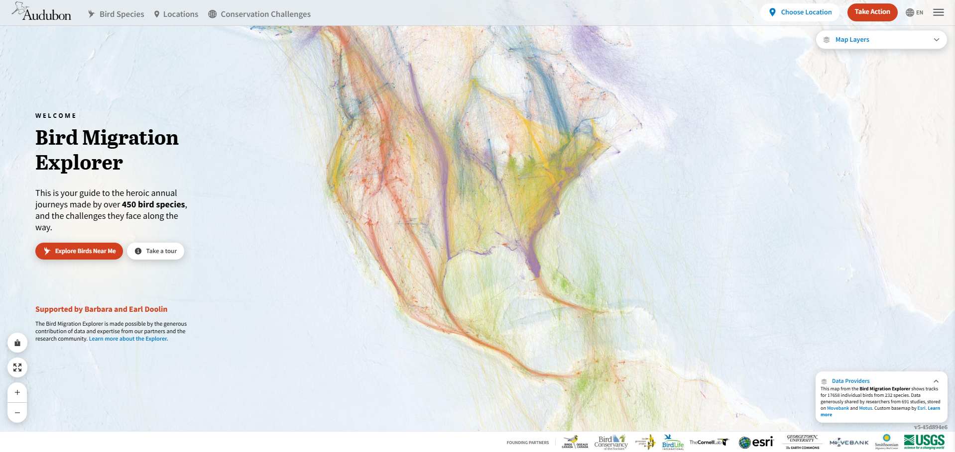 Bird Migration Explorer homepage showing colorful animated migration paths of tagged birds across North America, layered over a welcome panel with species counts and a Explore Birds Near Me call to action