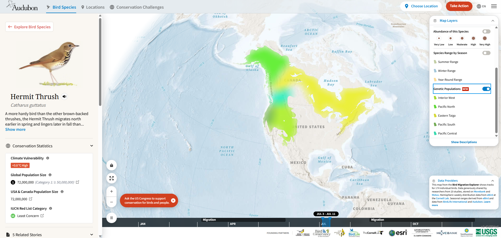 Bird Migration Explorer map of North America showing Hermit Thrush genetic subrange populations in overlapping green and yellow regions across the western and central United States and Canada