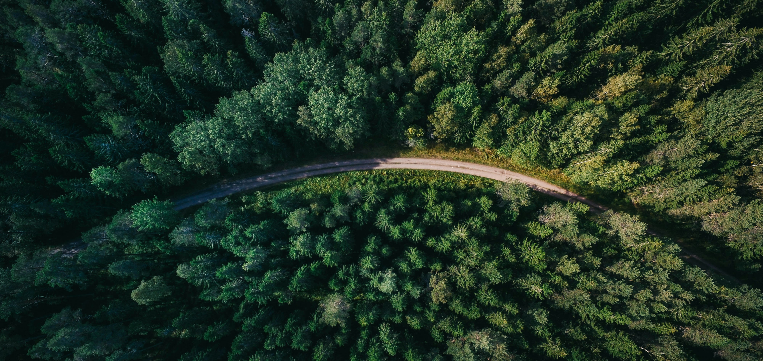 geranimo-qzgN45hseN0-unsplash 1